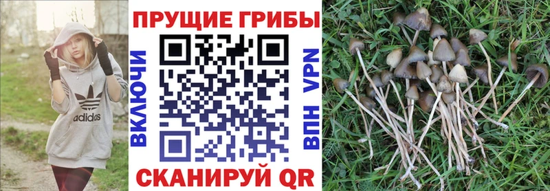 Псилоцибиновые грибы MAGIC MUSHROOMS  Армянск 